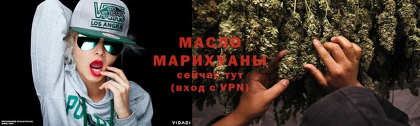 гидра Тайга