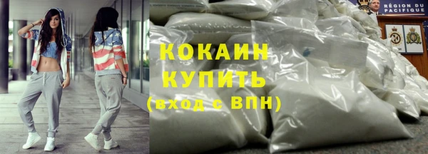 трава Пересвет