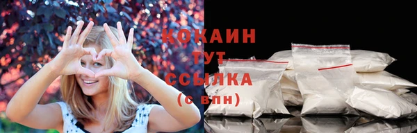 трава Пересвет