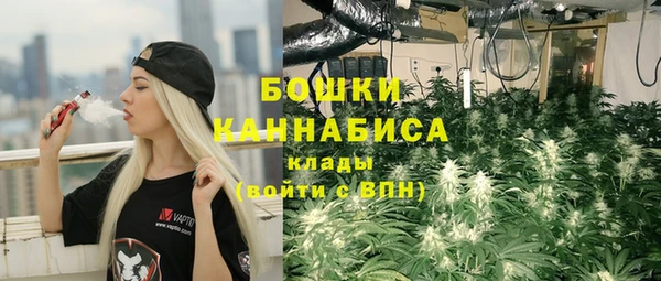 mix Богородицк