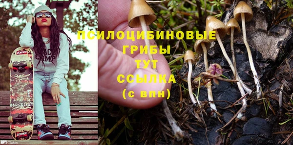кокс Снежногорск
