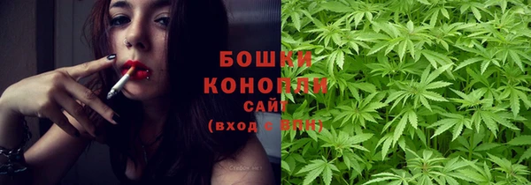 трава Пересвет