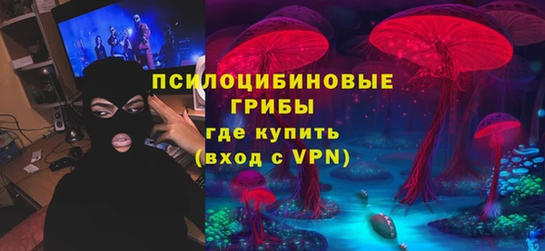 трава Пересвет