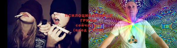 метадон Семикаракорск