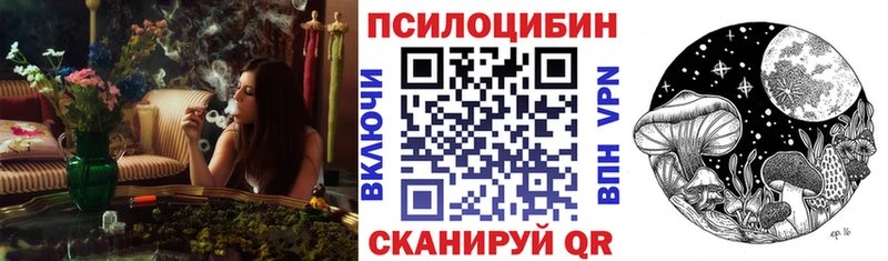Псилоцибиновые грибы мицелий  mega онион  Солигалич  дарнет шоп 